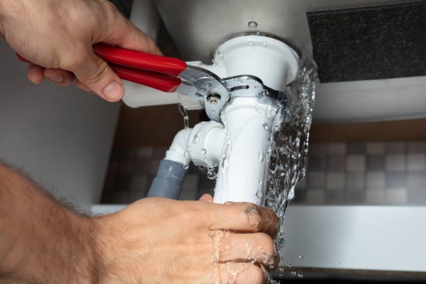 Best Flooded house restoration  in Red Bank, SC