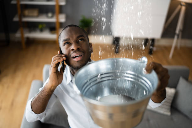 Best Flood damage cleanup  in Red Bank, SC
