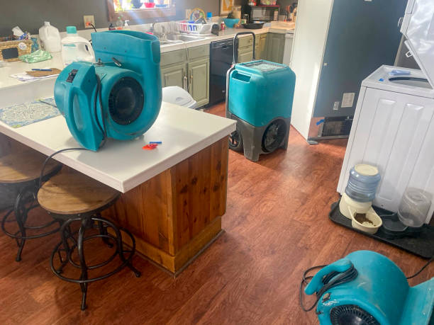 Best Commercial water damage restoration  in Red Bank, SC