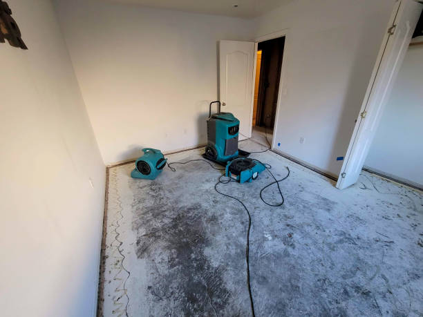 Best 24/7 water damage repair  in Red Bank, SC