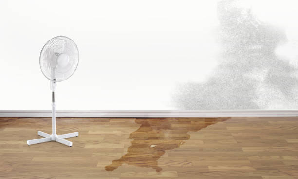 Best Fire Damage Restoration  in Red Bank, SC