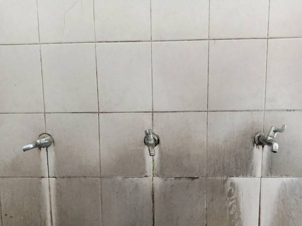 Reliable Red Bank, SC Water damage restoration Solutions