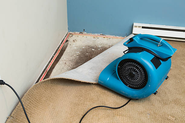 Best Ceiling water damage repair  in Red Bank, SC